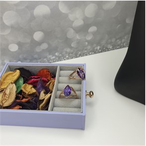 П2.К8685 КОЛЬЦО 2.2.8685.50