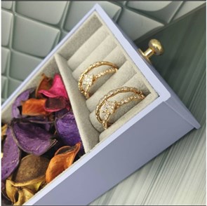 П2.К1668 КОЛЬЦО 2.2.1668.50