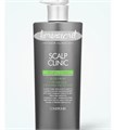 ПОД ЗАКАЗ.Кондиционер для жирной кожи головы 600мл Scalp Clinic Conditioner 15978.270.50 - фото 21101