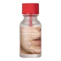 ПОД ЗАКАЗ.Dr. Althea Точечное средство против воспалений с каламином 15% Calamine Spot Powder 15629.900.50 - фото 21776
