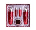 ПОД ЗАКАЗ.Daandan Bit Набор для ухода за кожей с женьшенем Premium Red Ginseng Skincare 3 Set 8937.900.50-1 - фото 34192